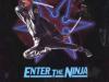 Enter the Ninja