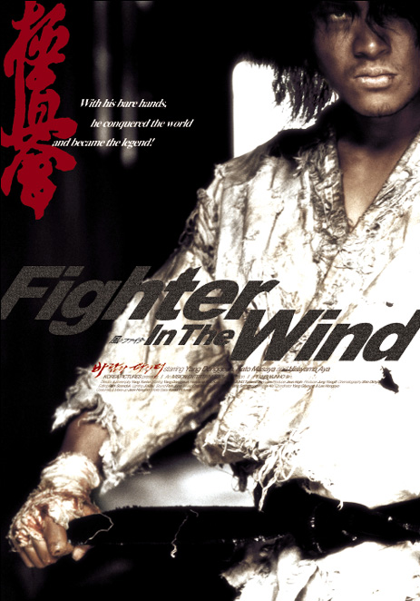 Risultati immagini per Fighter in the Wind