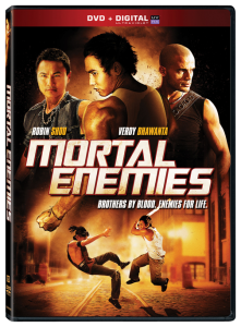 Mortal Enemies | aka Pirate Brothers DVD (Lionsgate)