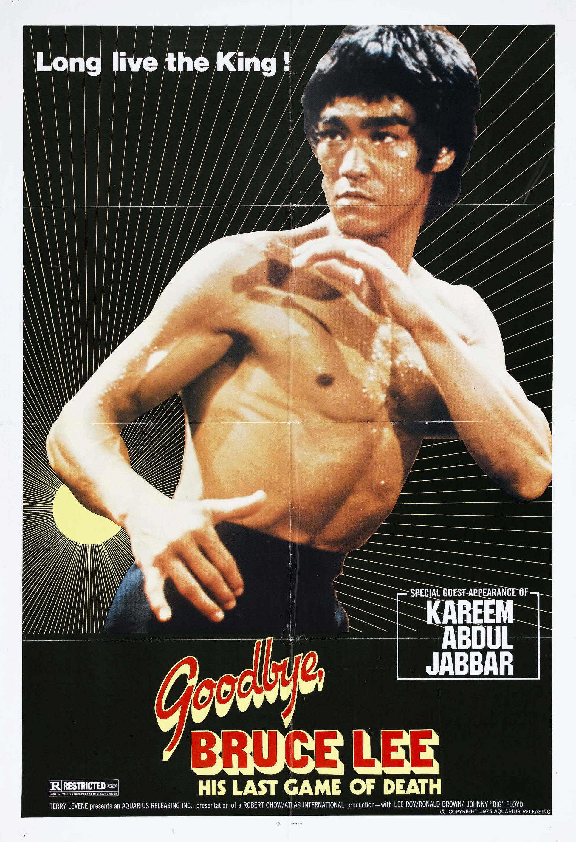 New Game of Death | aka Goodbye Bruce Lee: His Last Game of Death (1975)  Review 